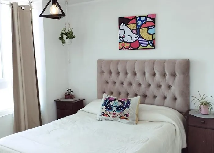 Departamento Entero Nunoa
